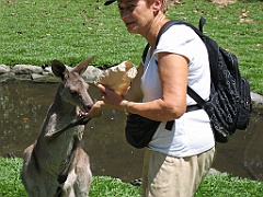 CairnsTC295 Wildlife Habitat